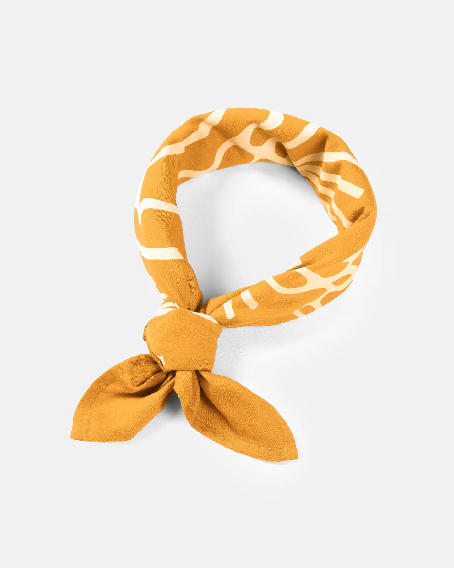 DARO CCC-Vol.1  Scarf - MUSTARD