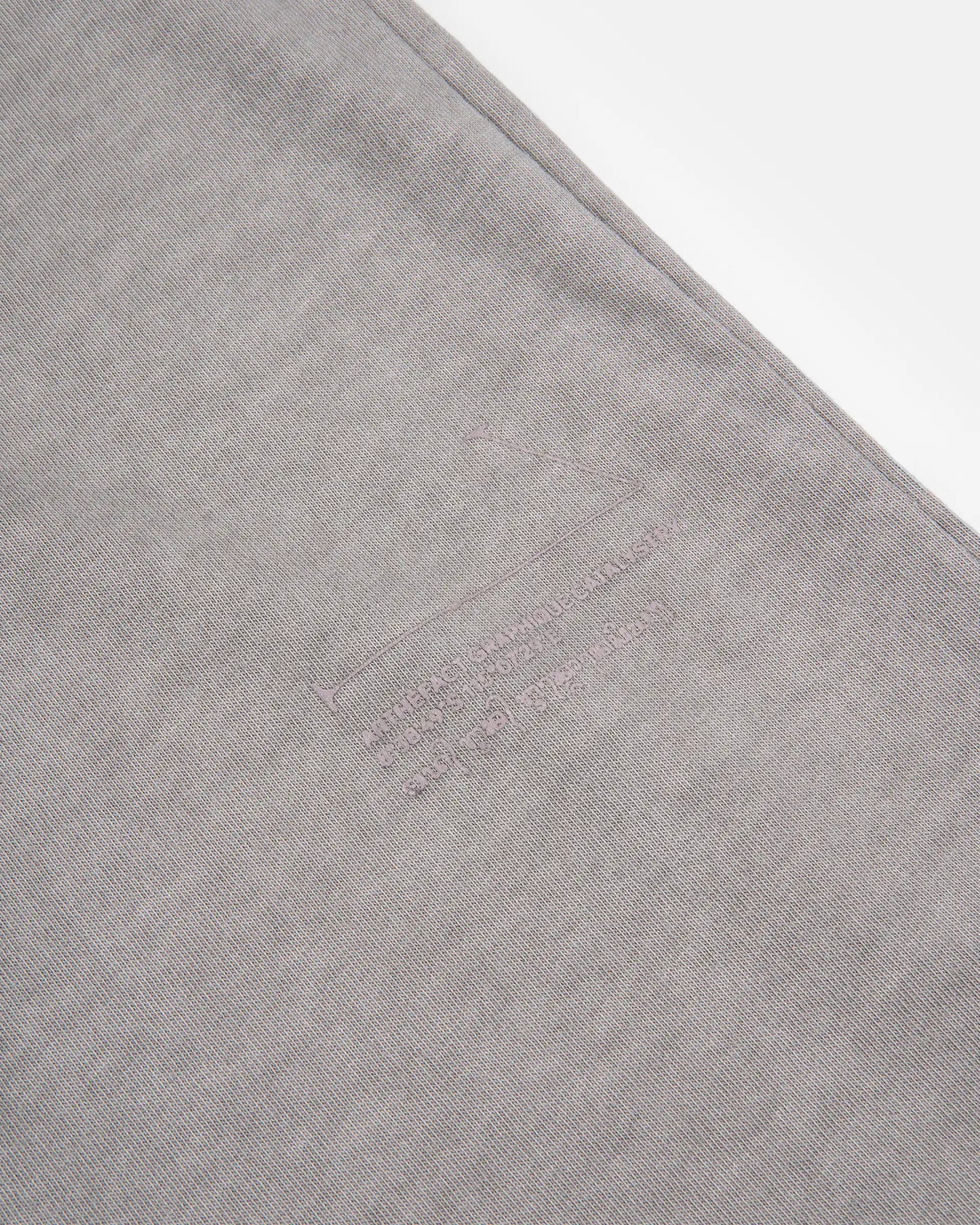 RAUNG Graphique T-Shirt - DEEPA - LIGHT GREY [PIGMENT DYED]